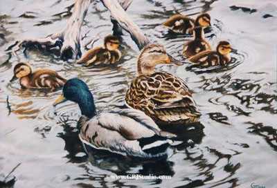 Mallard Family by Gary R Johnson Pricing Limited Edition Print image