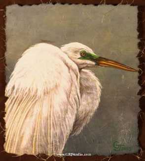 Great Egret Green by Gary R Johnson Pricing Limited Edition Print image