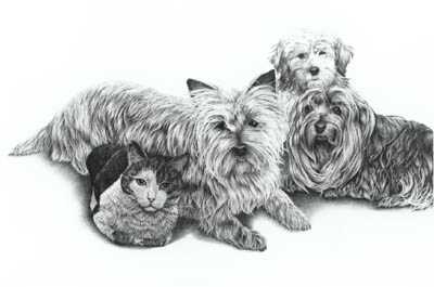In Kennel Heaven by Mal Luber Pricing Limited Edition Print image
