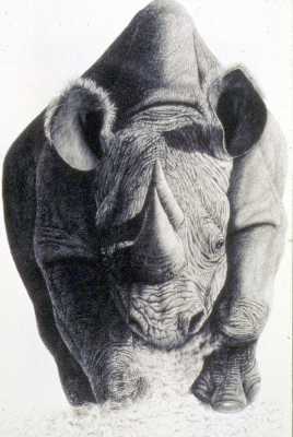 Rhino by Mal Luber Pricing Limited Edition Print image