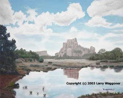 Nm Reflections Desert by Larry Waggoner Pricing Limited Edition Print image