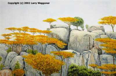 Zimbabwe Granite Fall by Larry Waggoner Pricing Limited Edition Print image