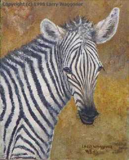 Young Zebra by Larry Waggoner Pricing Limited Edition Print image
