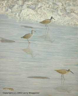 Willets Dodging Tide by Larry Waggoner Pricing Limited Edition Print image