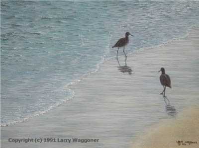 Walking With Willets by Larry Waggoner Pricing Limited Edition Print image