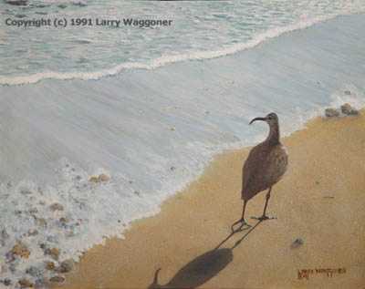 Sharing Shore Whimbrl by Larry Waggoner Pricing Limited Edition Print image