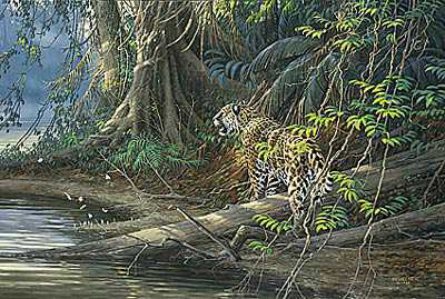 River Heat Jaguar by Michael Sieve Pricing Limited Edition Print image