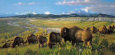 Passing Herd Bison by Michael Sieve Pricing Limited Edition Print image