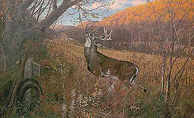 October Ritual Deer by Michael Sieve Pricing Limited Edition Print image