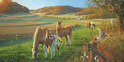 Gods Country Horses by Michael Sieve Pricing Limited Edition Print image
