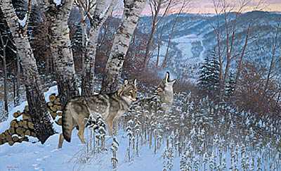 Eastward Bound Coyotes by Michael Sieve Pricing Limited Edition Print image