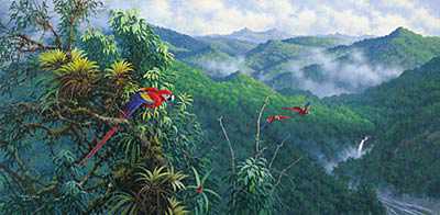 Panama Red Macaws by Michael Sieve Pricing Limited Edition Print image