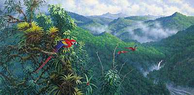 Panama Red Macaws by Michael Sieve Pricing Limited Edition Print image