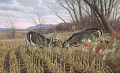 Battl Bucks Whttgccnvs by Michael Sieve Pricing Limited Edition Print image