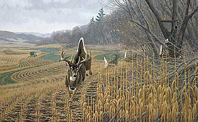 Deer Country by Michael Sieve Pricing Limited Edition Print image