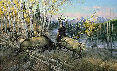 Battl Bulls Elk by Michael Sieve Pricing Limited Edition Print image