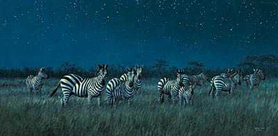 Midnight Serengeti by Michael Sieve Pricing Limited Edition Print image
