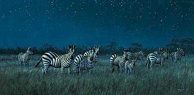 Midnight Serengeti by Michael Sieve Pricing Limited Edition Print image
