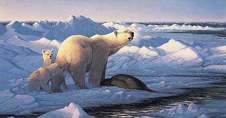 Arctic Bounty Polar by Michael Sieve Pricing Limited Edition Print image