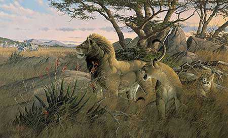 On The Plains Lions by Michael Sieve Pricing Limited Edition Print image