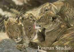 Family Ties by Victoria Wilson-Schultz Pricing Limited Edition Print image