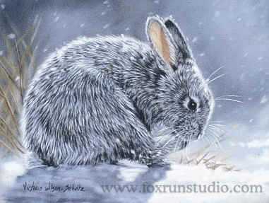 Cottontail by Victoria Wilson-Schultz Pricing Limited Edition Print image