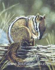 Bathtime Chipmunk by Victoria Wilson-Schultz Pricing Limited Edition Print image