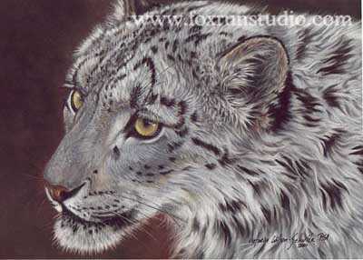 Snow Leopard by Victoria Wilson-Schultz Pricing Limited Edition Print image