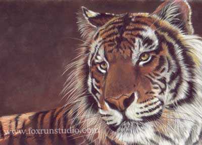 Tiger by Victoria Wilson-Schultz Pricing Limited Edition Print image