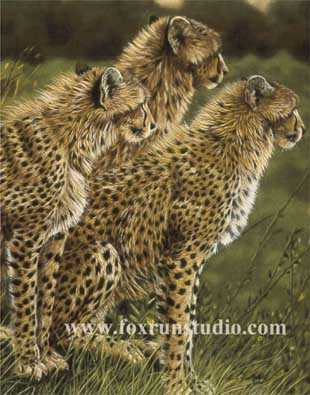 Princes Of Serengeti by Victoria Wilson-Schultz Pricing Limited Edition Print image