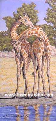 Courtship Giraffes by Victoria Wilson-Schultz Pricing Limited Edition Print image