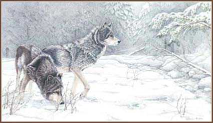Scent Of Hunt by Sherry Steele Pricing Limited Edition Print image