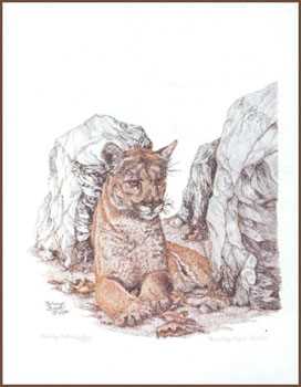 Solitary Vigil by Sherry Steele Pricing Limited Edition Print image