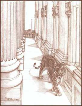 Stalking Halls Cong by Sherry Steele Pricing Limited Edition Print image