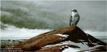 On Watch by Morten E Solberg Pricing Limited Edition Print image