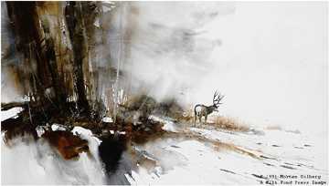 Afternoon Shadows Deer by Morten E Solberg Pricing Limited Edition Print image