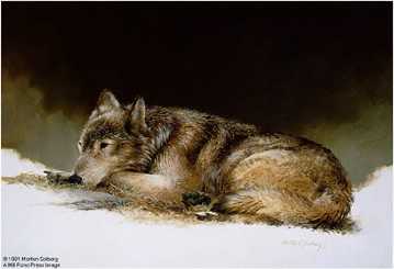 Timber Wolf Study Pair by Morten E Solberg Pricing Limited Edition Print image