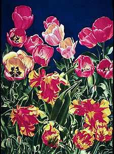 Tulipmania by Mary Weinstein-Backer Pricing Limited Edition Print image
