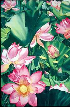 Lotus Garden by Mary Weinstein-Backer Pricing Limited Edition Print image