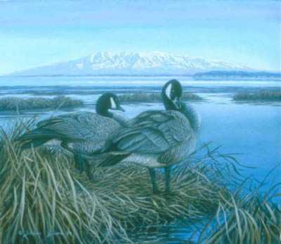 Susitna Spring by Shane Lamb Pricing Limited Edition Print image