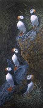 Puffin Panache by Shane Lamb Pricing Limited Edition Print image