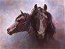Black Stallion by Fred Stone Pricing Limited Edition Print image