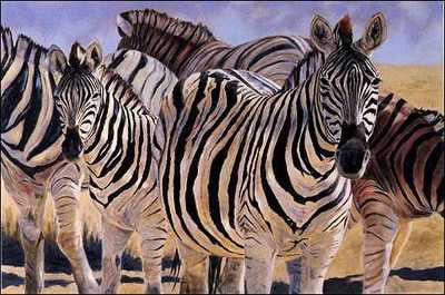 Black White Quintet by Linda Besse Pricing Limited Edition Print image