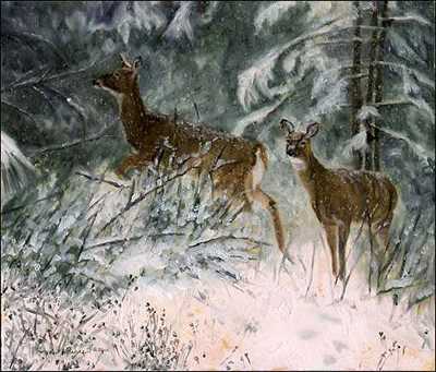 Flurries Whitetail by Linda Besse Pricing Limited Edition Print image