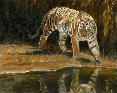 Tyger by Linda Besse Pricing Limited Edition Print image