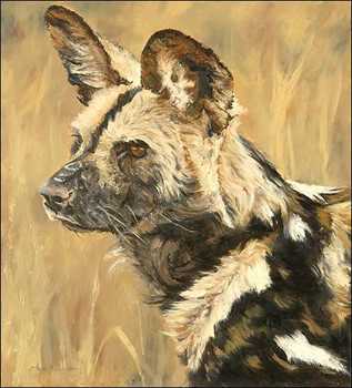 Cape Hunting Dog by Linda Besse Pricing Limited Edition Print image