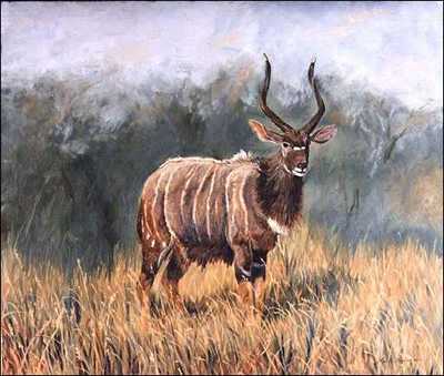 Nyala Zululand by Linda Besse Pricing Limited Edition Print image