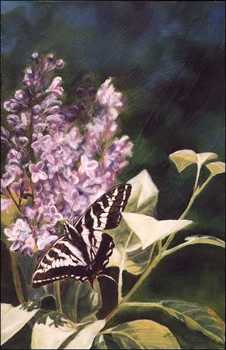 Swallowtail & Lilac by Linda Besse Pricing Limited Edition Print image
