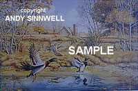 River Wings by Andy Sinnwell Pricing Limited Edition Print image