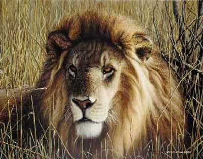 Portrait Of A King by David N Kitler Pricing Limited Edition Print image